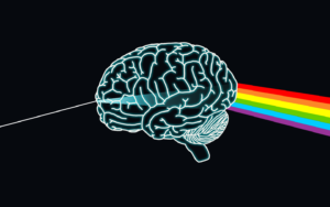 lsd